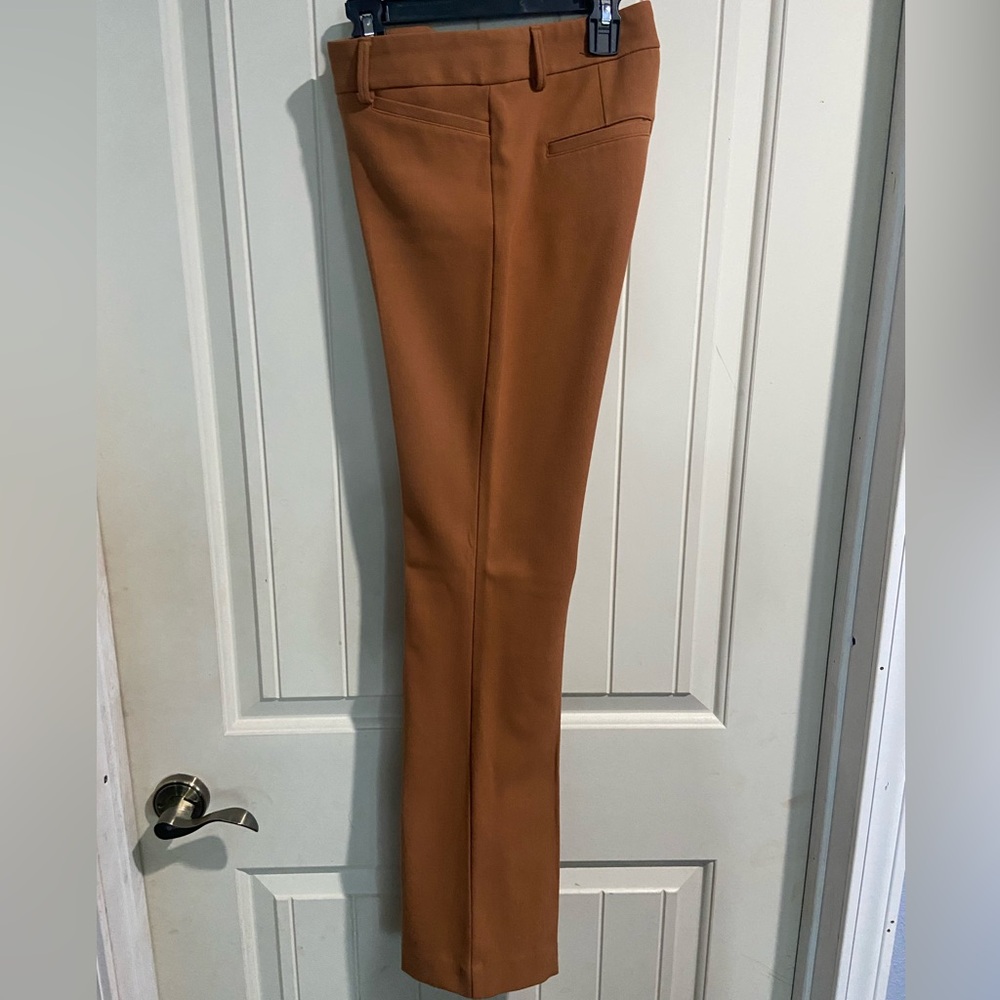 Express Columnist bootcut pants - Camel Brown